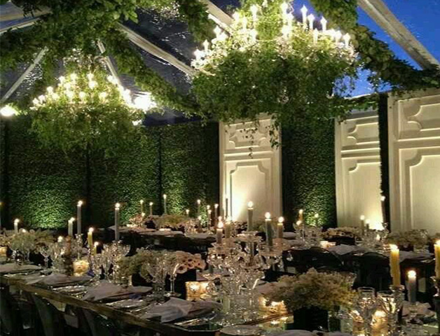 candles on hanging green plants