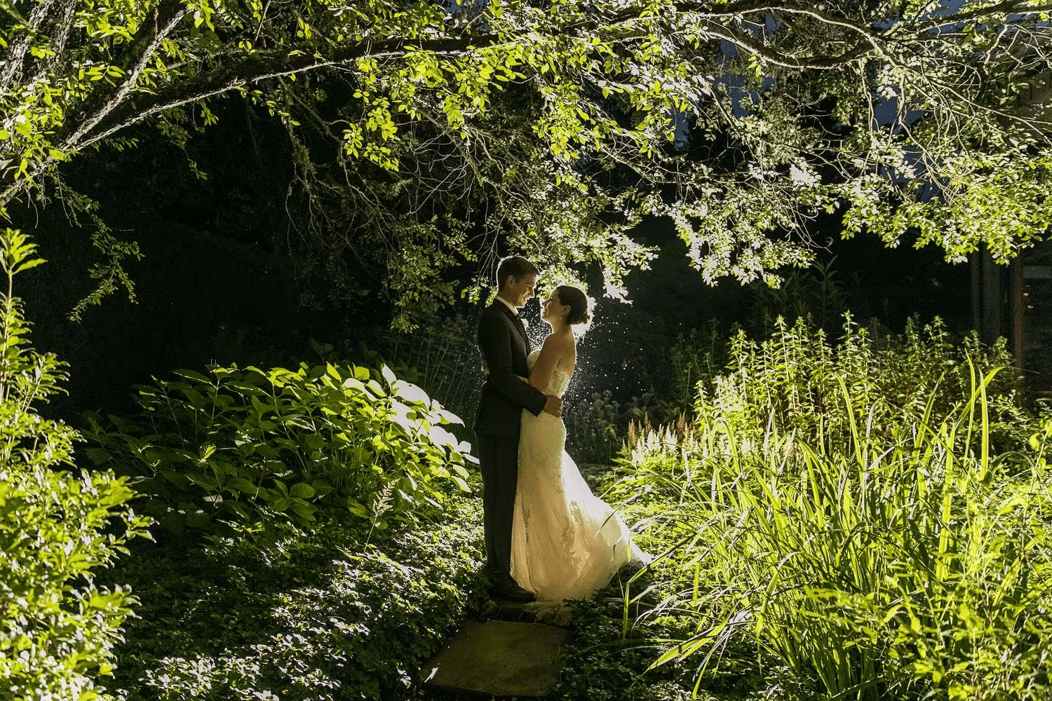 Enchanted forest - post wedding photoshoot-min