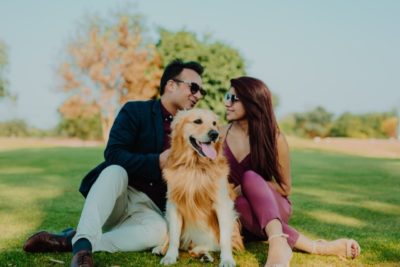 Post wedding photoshoot - dogs