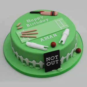 cricket theme party