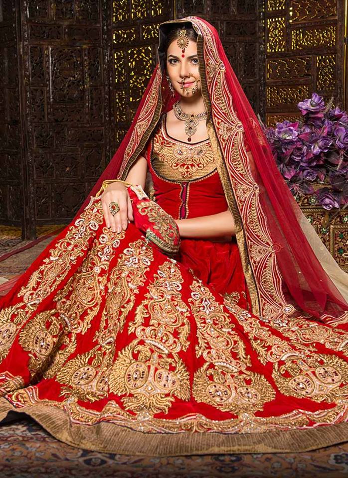  Different  Types Of Bridal  Dresses  Around  The World 