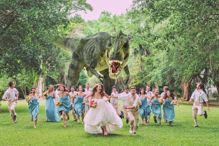 creative wedding photography