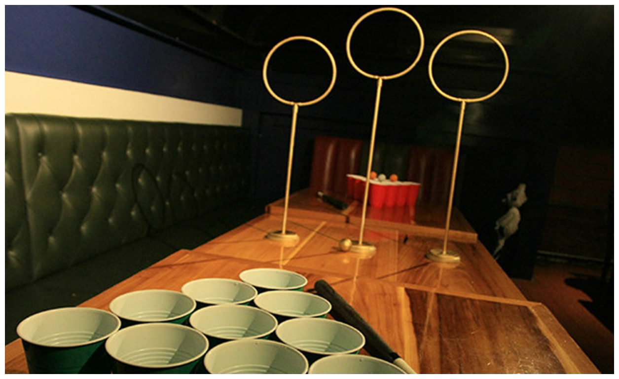 quidditch beer pong- harry potter theme cocktail party ideas