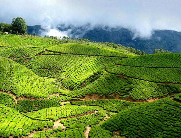 Munnar