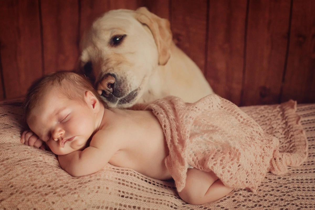 25 Baby Photoshoot Ideas that are Cute and Creative