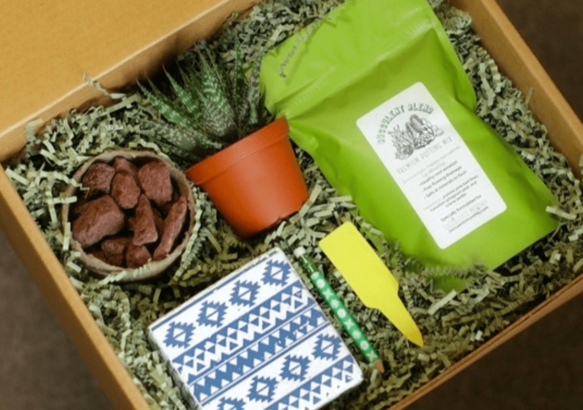 Monthly Plant Subscription