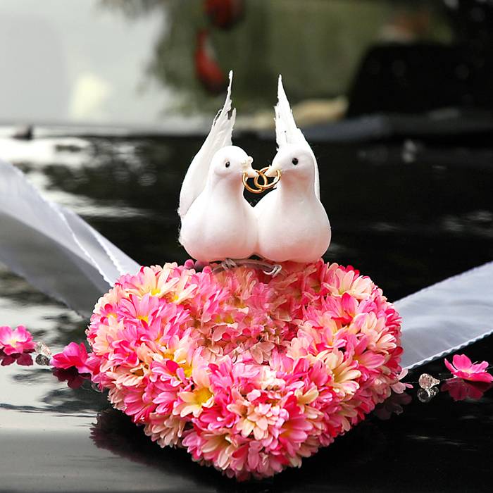 Love Birds Car Decoration