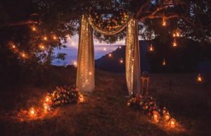 Wedding Themes - Forest