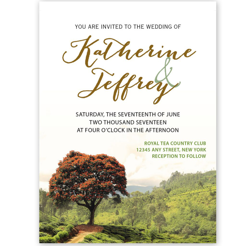 landscape unique wedding invites