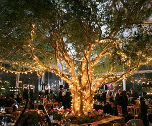 Tree Lights - Wedding Home Decor Ideas