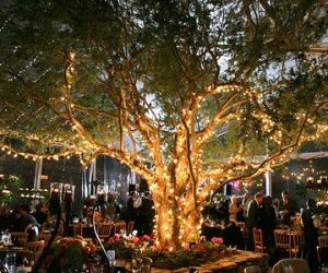 Tree Lights - Wedding Home Decor Ideas 