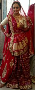 Gujarati Wedding Sarees Gharchola