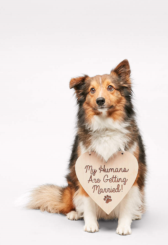 Pet Animal Bride Gift Ideas