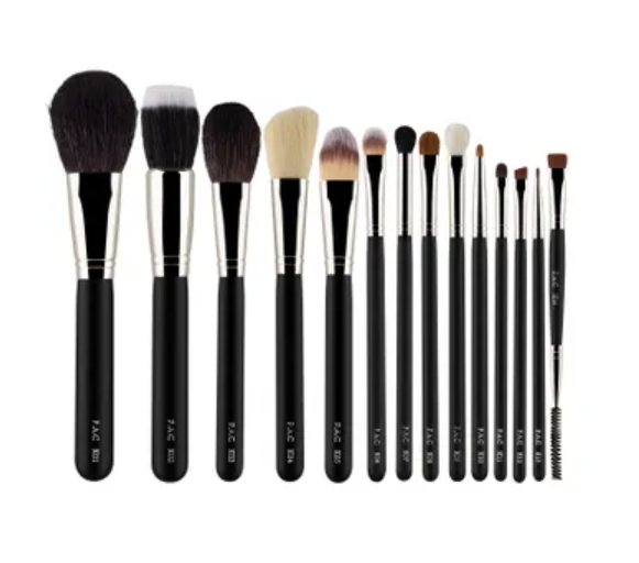 PAC Set of 14 Brushes