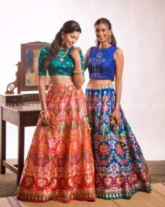 Banarasi Crop Top