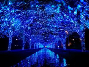 Blue Fairy Lights