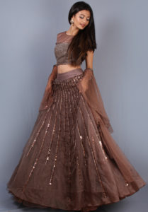 Brown Embellished Lehenga