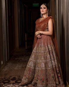 Designer Earthy Toned Lehenga