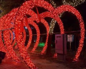 Heart String Lights