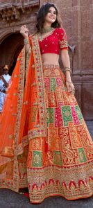 Multi coloured lehenga design 3