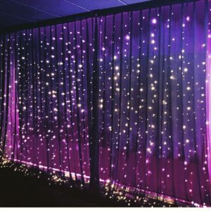 Purple Fairy Lights