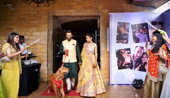 wedding reception entry ideas with pets