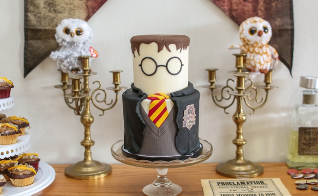 Harry Potter Birthday Party Themes For Adults