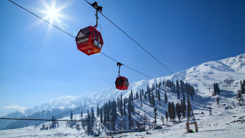Auli