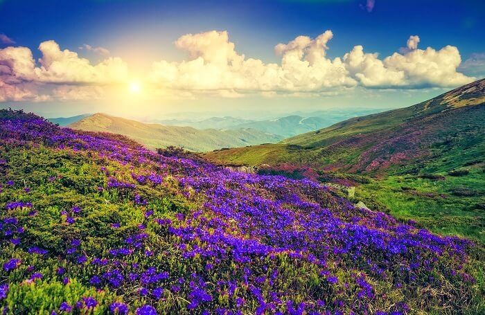 MUNNAR