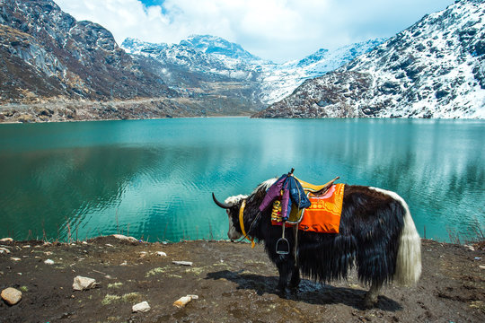 SIKKIM