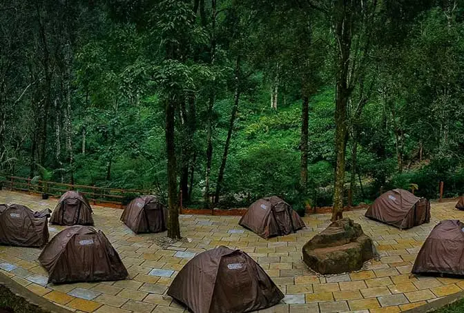WAYANAD
