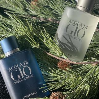 Giorgio Armani Acqua Di Gio Eau De Toilette