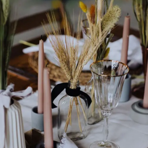 Dried Wheat Stalks