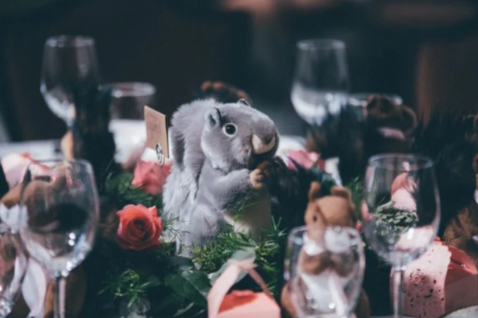  Stuffed toys toss- Alternative to garter and bouquet toss