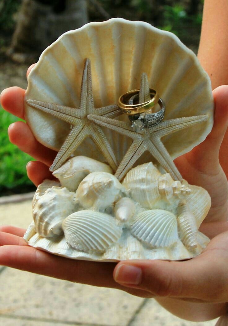 The Shell Ring Holder