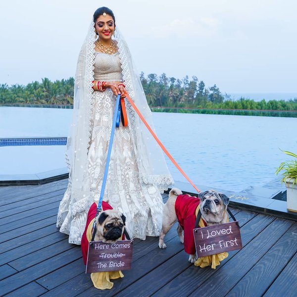 Wedding entry idea dog