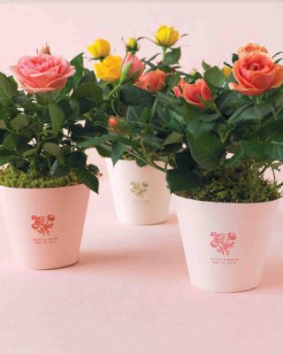 potted plant favors - diy wedding decor ideas