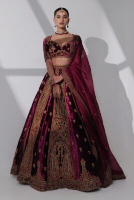 Bridal lehenga colours in wine velvet with rich detailing for a bold evening wedding