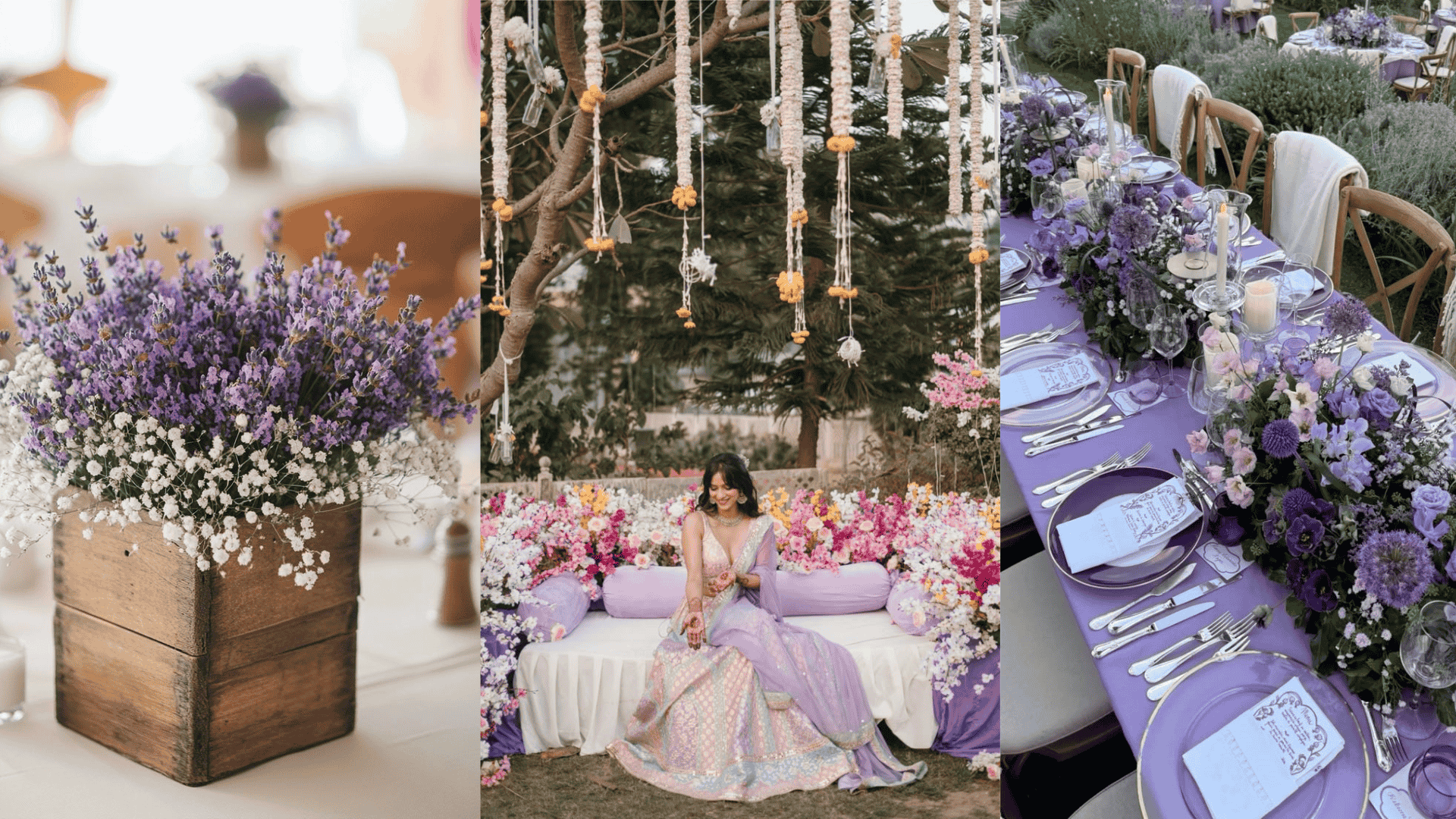 lavender haldi theme_lavender theme