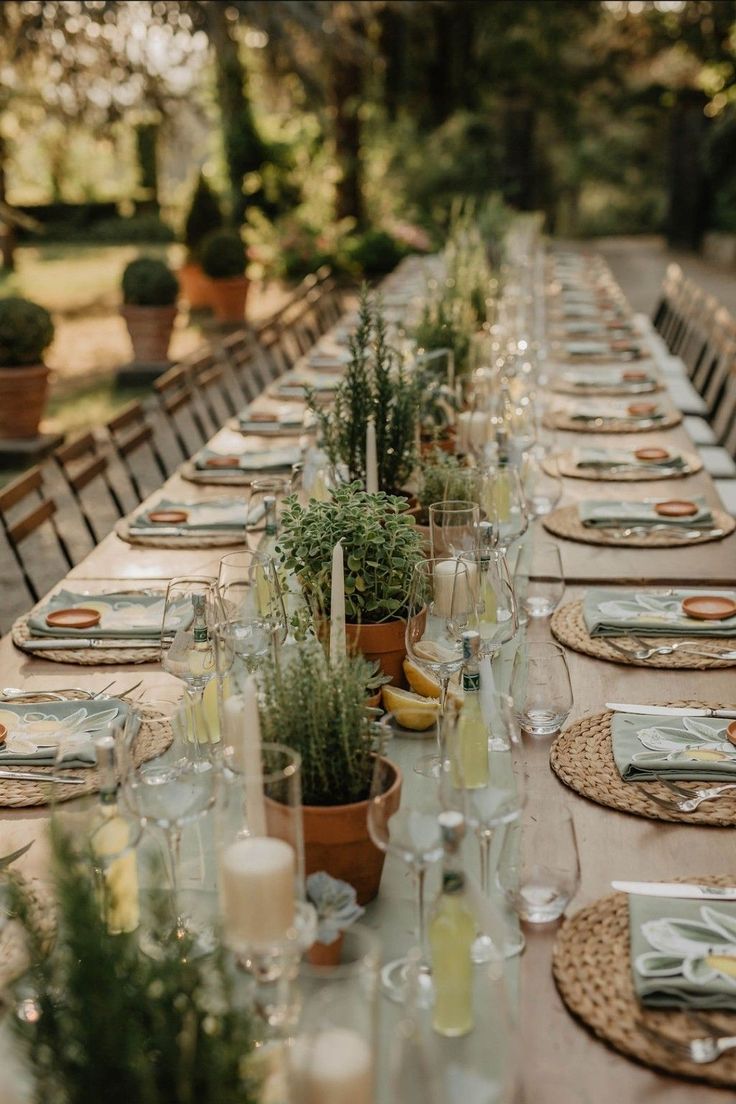 potted plants for Wedding